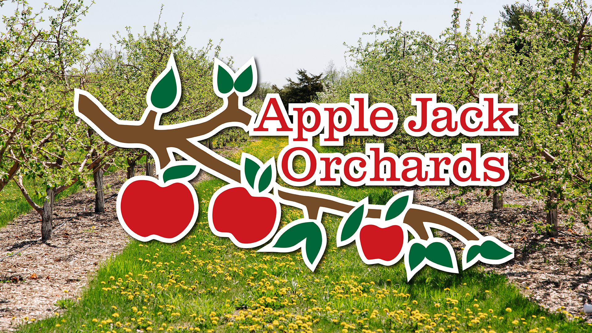 Apple Jack Orchards